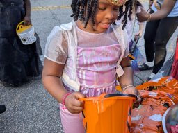 Trunk or Treaters